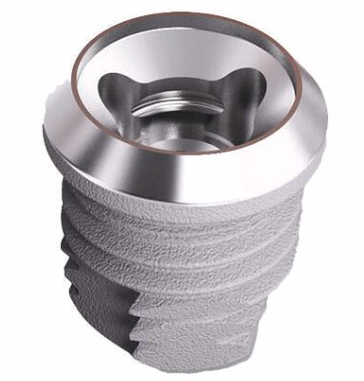 Bone Conduction Implant